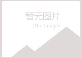 黄陵县冰夏艺术有限公司